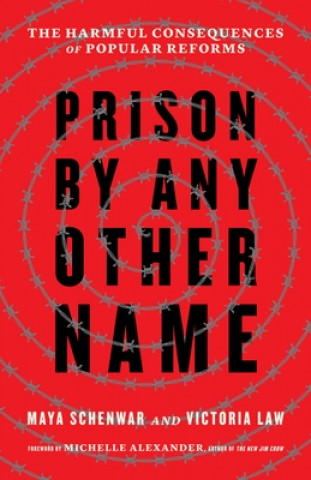 Carte Prison by Any Other Name Maya Schenwar