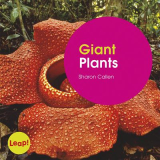 Könyv Giant Plants Sharon Callen