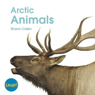 Carte Arctic Animals Sharon Callen