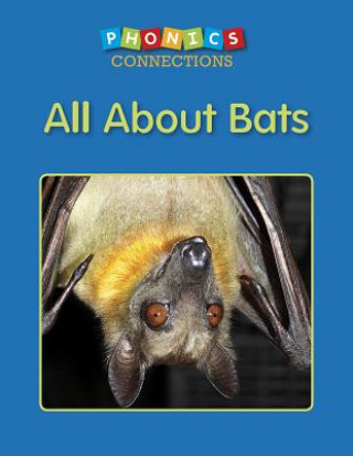 Knjiga All about Bats Bibi Boynton