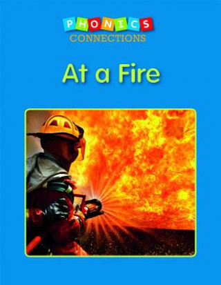 Knjiga At a Fire Rachel Mann