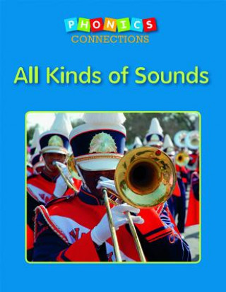 Kniha All Kinds of Sounds Nancy Leber