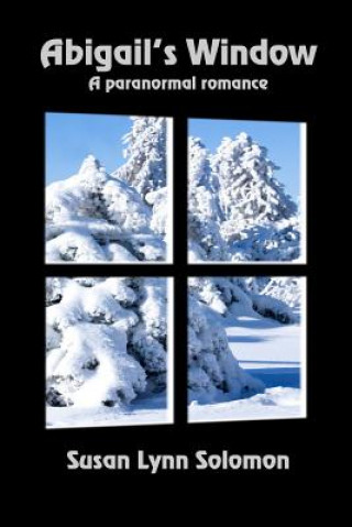 Knjiga Abigail's Window Susan Lynn Solomon