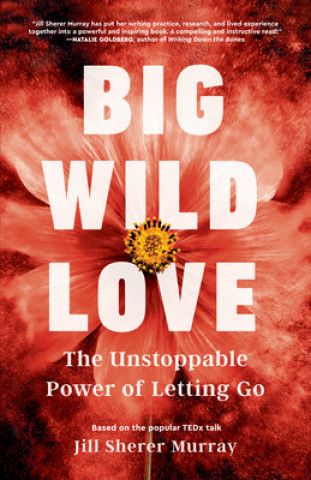 Kniha Big Wild Love Jill Sherer-Murray