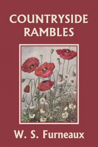 Knjiga Countryside Rambles (Yesterday's Classics) W. S. Furneaux