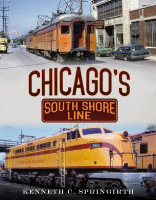 Kniha Chicago's South Shore Line Kenneth C. Springirth