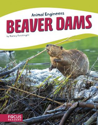 Carte Beaver Dams Nancy Furstinger