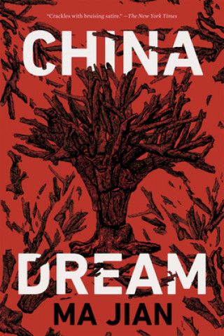 Kniha China Dream Flora Drew