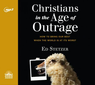 Digital Christians in the Age of Outrage: How to Bring Our Best When the World Is at Its Worst Wayne Shepherd