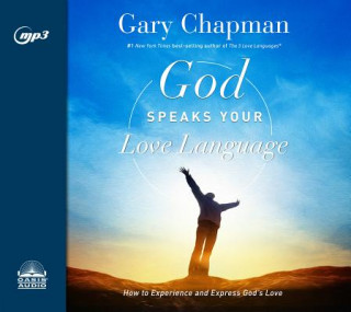 Digital God Speaks Your Love Language: How to Express and Experience God's Love Chris Fabry