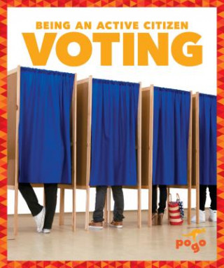Knjiga Voting Vincent Alexander