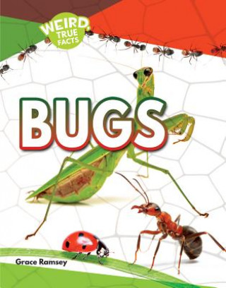 Book Bugs Grace Ramsey