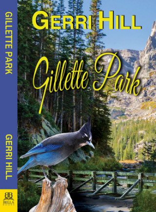 Kniha Gillette Park 