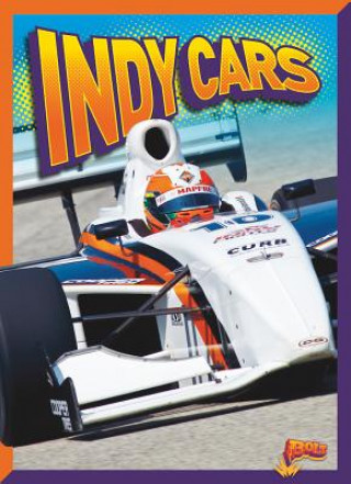 Buch Indy Cars Peter Bodensteiner