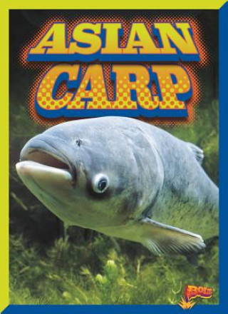 Buch Asian Carp Barbara Ciletti