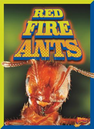 Carte Red Fire Ants Scott Pearson