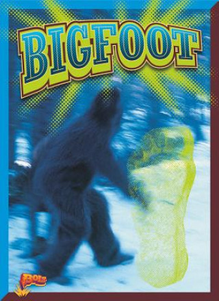 Książka Bigfoot Elizabeth Noll