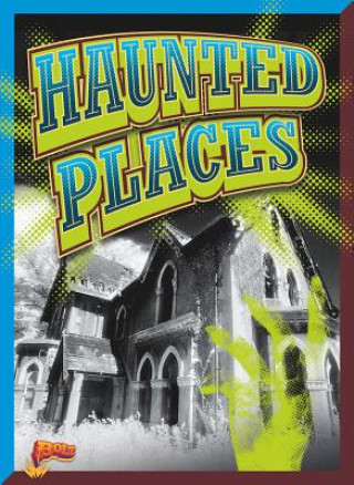 Kniha Haunted Places Elizabeth Noll