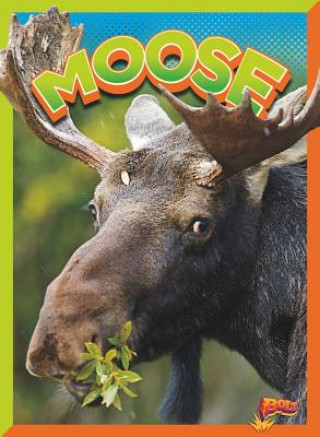 Kniha Moose Gail Terp