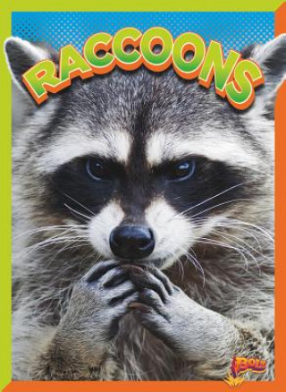 Kniha Raccoons Gail Terp