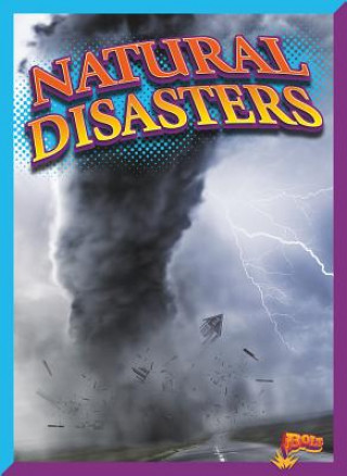 Buch Natural Disasters Jim Westcott