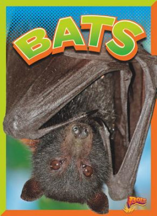 Книга Bats Gail Terp