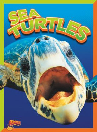 Buch Sea Turtles Gail Terp