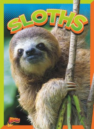 Könyv Sloths Gail Terp