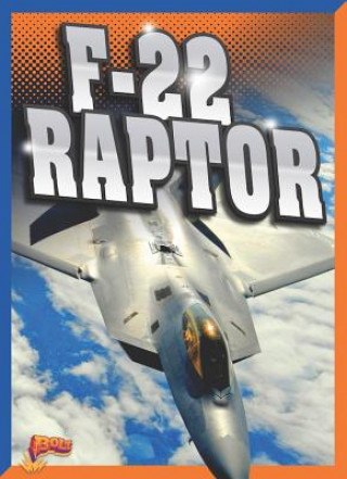 Kniha F-22 Raptor Megan Cooley Peterson