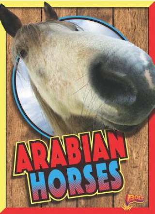 Book Arabian Horses Elizabeth Noll