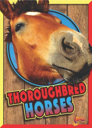 Carte Thoroughbred Horses Elizabeth Noll