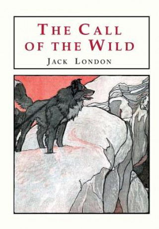 Kniha The Call of the Wild Jack London