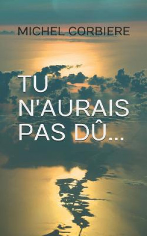 Buch Tu n'Aurais Pas D Michel Corbiere