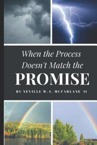 Kniha When the Process Doesn't Match the Promise Neville W. a. McFarlane II