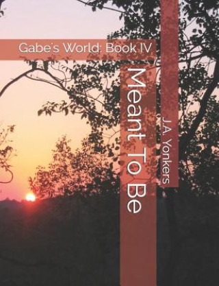 Könyv Meant to Be: Gabe's World: Book IV J. A. Yonkers