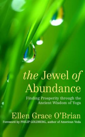 Audio The Jewel of Abundance: Finding Prosperity Through the Ancient Wisdom of Yoga Ellen Grace O'Brian