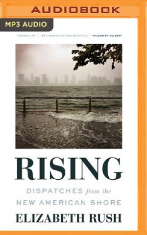 Digital Rising: Dispatches from the New American Shore Elizabeth Rush