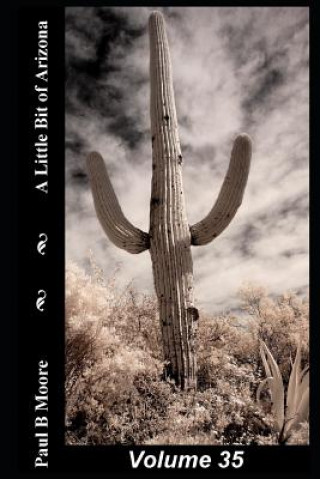 Könyv A Little Bit of Arizona: Volume 35 Paul Moore