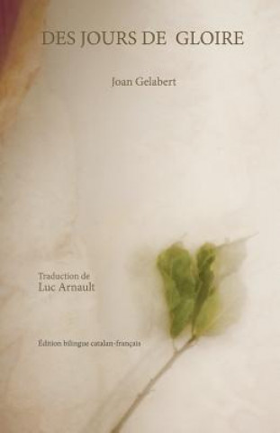 Kniha Des Jours de Gloire Joan Gelabert
