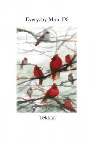 Buch Everyday Mind IX Tekkan