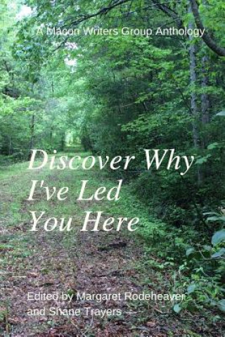 Carte Discover Why I've Led You Here: A Macon Writers Group Anthology Margaret M. Rodeheaver