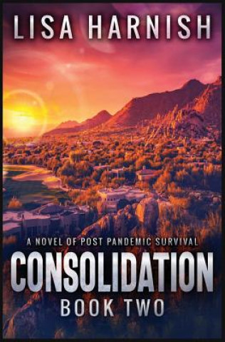 Boek Consolidation Lisa Harnish