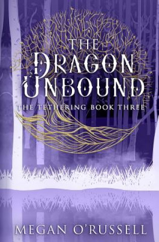 Buch Dragon Unbound Megan O'Russell