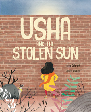 Kniha Usha and the Stolen Sun Bree Galbraith