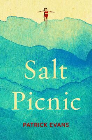 Kniha Salt Picnic Patrick Evans
