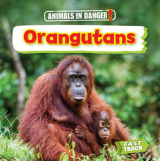 Knjiga Orangutans Nancy Dickmann
