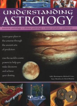 Kniha Understanding Astrology Sally Morningstar