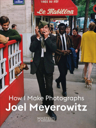 Knjiga Joel Meyerowitz Joel Meyerowitz