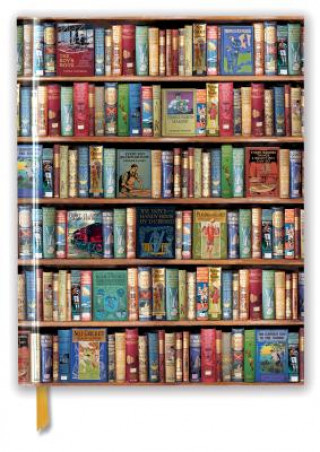 Naptár/Határidőnapló Bodleian Libraries: Hobbies and Pastimes Bookshelves (Blank Sketch Book) Flame Tree Studio