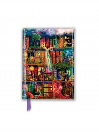 Kalendár/Diár Aimee Stewart: Treasure Hunt Bookshelves (Foiled Pocket Journal) Flame Tree Studio